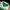 Back Number Streetwear Polo shirt Pria multicolor photo 4