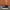 VANS Streetwear Skater Sneakers Pria Multicolor