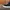 VANS Streetwear Skater Sneakers Pria multicolor photo 4