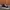 VANS Streetwear Skater Sneakers Pria multicolor photo 1