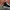 VANS Streetwear Skater Sneakers Pria multicolor photo 6