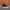 VANS Streetwear Skater Sneakers Pria multicolor photo 5
