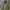 ZARA Vintage Gorpcore Trench Coat Wanita Green
