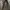 Levis brown faux leather hooded racer jacket photo 8