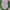 Adidas Sportswear Jersey Pria green pink photo 3