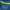 Adidas Sportswear Jersey Pria blue yellow photo 6