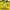 Adidas Sportswear Jersey Pria navy yellow photo 3