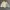 Biker Windbreaker Pria gray cream photo 4