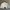 Biker Windbreaker Pria gray cream photo 3