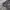 simple life velvet jacket photo 4