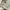 Tass Finder Knit photo 7
