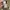 Murder license jacket lgb goa fuga kmrii photo 5