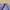Luxury Fairy Evening dress Wanita silver purple photo 6