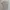 Vintage Y2K Polo shirt Pria tan photo 2