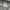 Vintage Y2K Polo shirt Pria tan photo 8