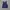 Indie Vest Pria Navy