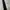 Dior Homme D belt black cow leather photo 4