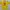 Casual Jersey Pria yellow photo 2
