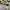 Banana Republic Futurist Going out dress Wanita tan black photo 3