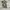 Banana Republic Futurist Going out dress Wanita tan black photo 1