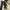 Banana Republic Futurist Going Out Dress Wanita Tan Black