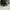 Stussy Streetwear Luxury Hat Pria white black photo 6