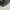 Stussy Streetwear Luxury Hat Pria white black photo 5