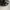 Stussy Streetwear Luxury Hat Pria white black photo 3
