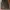 Grandma short skirt 4 photo 2