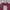 H&M Indie Futurist Sweater Pria Red