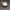 Vintage Hat Pria white photo 1