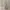 Carhartt Vintage Casual Casual shirt Pria tan photo 6