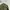 Cap cold weather insulating helmet liner green army photo 4