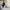 Winter jacket anak tebal reversible bolak balik sherpa keren photo 5