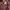 Tas Tote bag  Michael Kors Gansevoort  photo 2