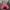 Vintage Sportswear Hat Pria white pink photo 3