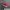 BE GOOD RICH - Topi Simple Cap Merah Unisex  photo 5
