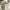 Longchamp Minimalist Casual Tote bag Wanita black photo 6
