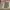 Bulu Mata Palsu Tampa Lem Glue Free Eyelash Extension