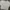 H&M Minimalist Casual Crop top Wanita gray photo 2