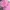 Winter jacket tebal anak adidas baby pink gembul photo 6