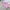 Winter jacket tebal anak adidas baby pink gembul photo 10