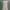 Minimalist Casual Bodycon dress Wanita tan photo 1