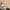 Screen Stars Blank Basic Hoodie photo 4