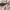 Coach Mini Teri Shoulder Bag in Signature Canvas photo 6
