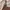Coach Mini Teri Shoulder Bag in Signature Canvas photo 2
