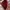 Coach Mini Teri Shoulder Bag in Signature Canvas photo 7