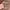 Raimond Little Grace casio seiko alba citizen guess gucci ac photo 7