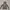 Emo Futurist Windbreaker Pria gray photo 1