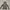Emo Futurist Windbreaker Pria Gray